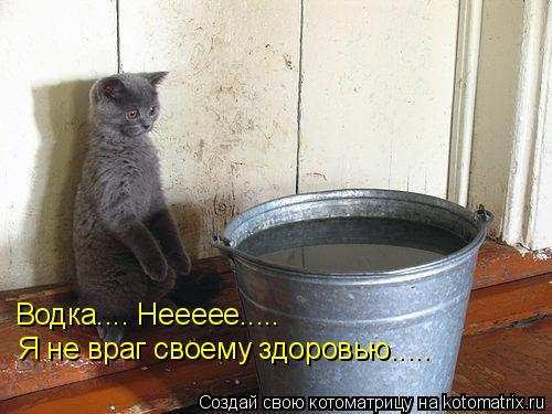 Водка.... Неееее..... Я не враг своему здоровью........ Котоматрица: Водка.... Неееее..... Я не враг своему здоровью.....