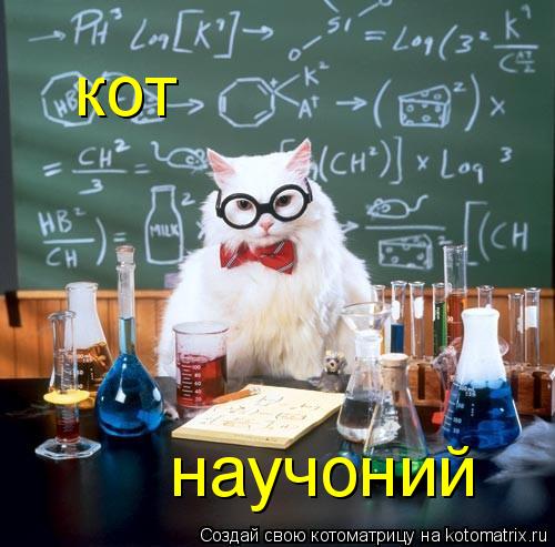 Котоматрица: кот  научоний