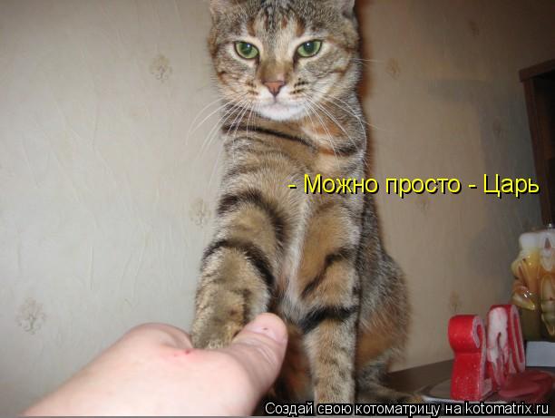 Котоматрица: - Можно просто - Царь