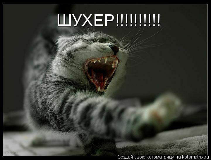 Котоматрица: ШУХЕР!!!!!!!!!!