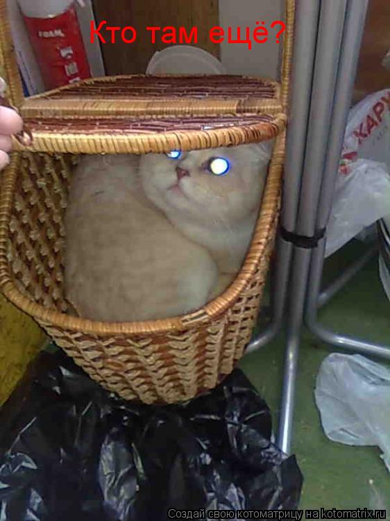 Котоматрица: Кто там ещё?