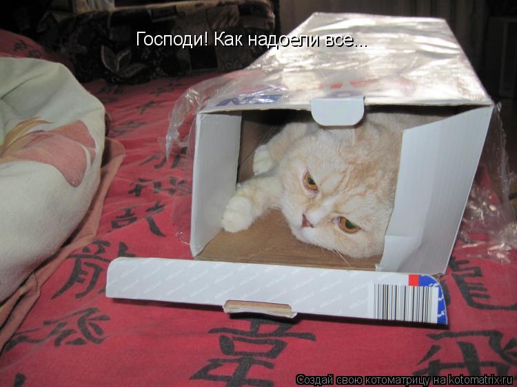 Котоматрица: Господи! Как надоели все...