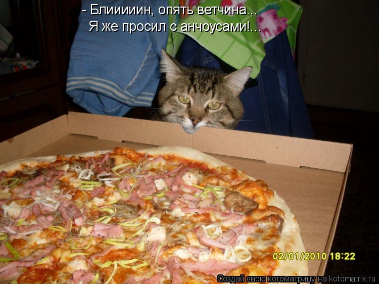 - Блииииин, опять ветчина... Я же просил с анчоусами!...... Котоматрица: - Блииииин, опять ветчина... Я же просил с анчоусами!...