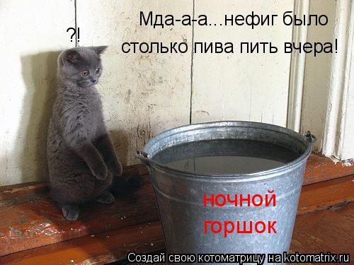 ?! ночной горшок Мда-а-а...нефиг было столько пива пить вчера!... Котоматрица: ?! ночной горшок Мда-а-а...нефиг было столько пива пить вчера!
