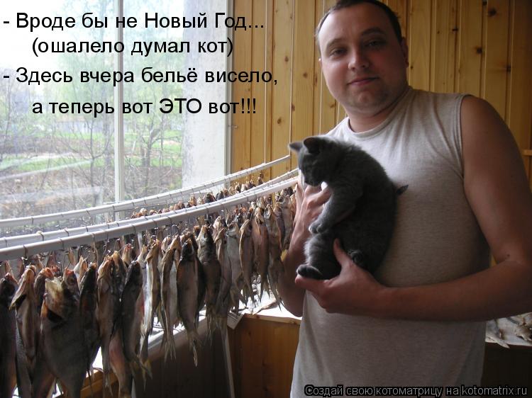 - Вроде бы не Новый Год... - Здесь вчера бельё висело, а теперь вот ЭТО вот!!! (ошалело думал кот)... Котоматрица: - Вроде бы не Новый Год... - Здесь вчера бельё висело, а теперь вот ЭТО вот!!! (ошалело думал кот)