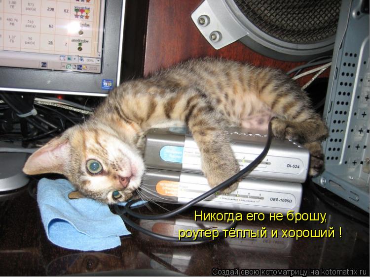 Никогда его не брошу, роутер тёплый и хороший !... Котоматрица: Никогда его не брошу, роутер тёплый и хороший !