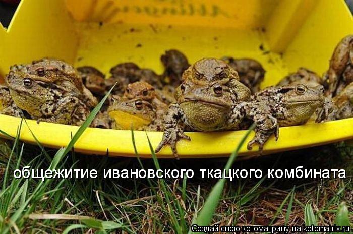 Котоматрица: общежитие ивановского ткацкого комбината