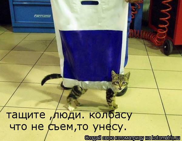 тащите ,люди. колбасу что не съем,то унесу.... Котоматрица: тащите ,люди. колбасу что не съем,то унесу.