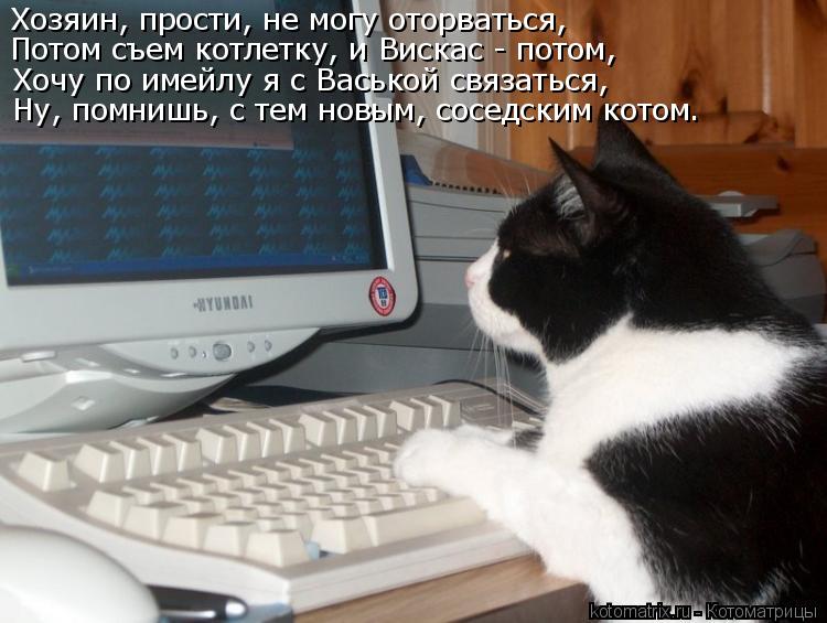 Хозяин, прости, не могу оторваться, Потом съем котлетку, и Вискас - потом, Хочу по имейлу я с Васькой... Котоматрица: Хозяин, прости, не могу оторваться, Потом съем котлетку, и Вискас - потом, Хочу по имейлу я с Васькой связаться, Ну, помнишь, с тем новым, сосед