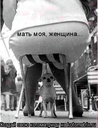 мать моя, женщина...... Котоматрица: мать моя, женщина...