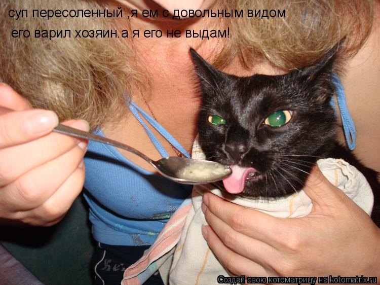 суп пересоленный ,я ем с довольным видом его варил хозяин.а я его не выдам!... Котоматрица: суп пересоленный ,я ем с довольным видом его варил хозяин.а я его не выдам!