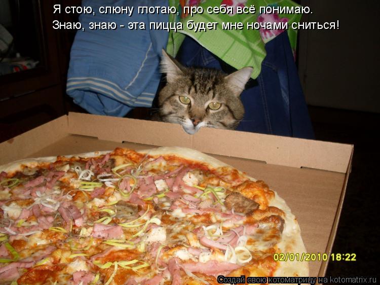 Я стою, слюну глотаю, про себя всё понимаю. Знаю, знаю - эта пицца будет мне ночами сниться!... Котоматрица: Я стою, слюну глотаю, про себя всё понимаю. Знаю, знаю - эта пицца будет мне ночами сниться!