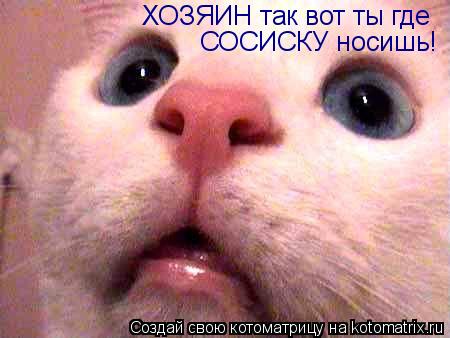 Котоматрица: ХОЗЯИН так вот ты где  СОСИСКУ носишь!