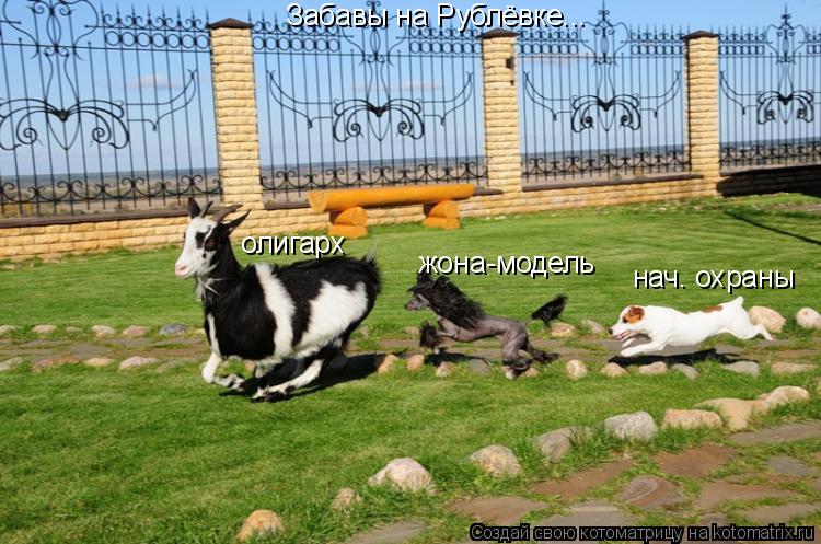 Котоматрица: Забавы на Рублёвке... олигарх жона-модель нач. охраны