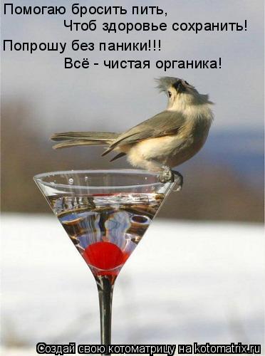 Котоматрица: Помогаю бросить пить, Чтоб здоровье сохранить! Попрошу без паники!!! Всё - чистая органика!