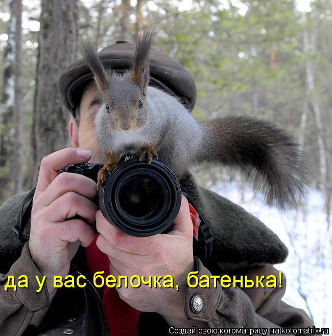 Котоматрица: да у вас белочка, батенька!