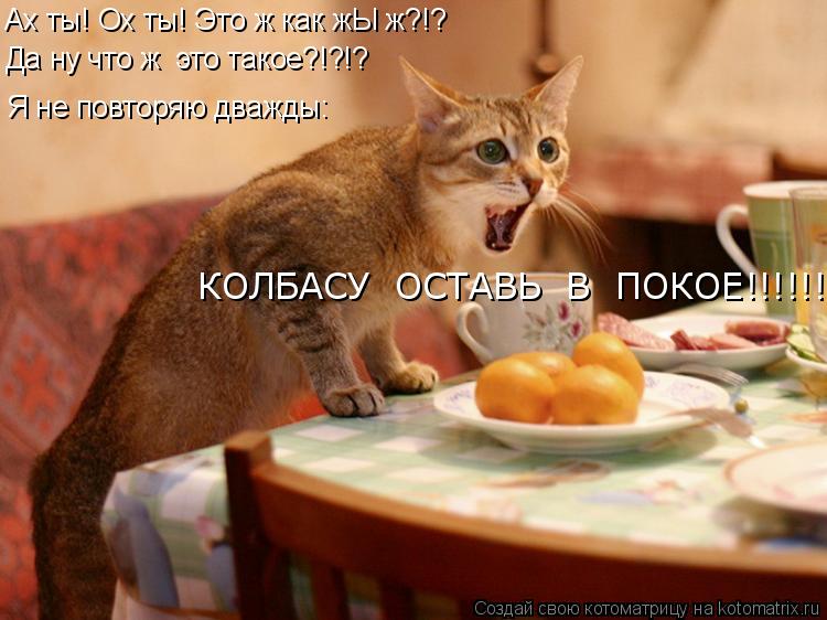Ах ты! Ох ты! Это ж как жЫ ж?!? Да ну что ж это такое?!?!? Я не повторяю дважды: КОЛБАСУ ОСТАВЬ В... Котоматрица: Ах ты! Ох ты! Это ж как жЫ ж?!? Да ну что ж это такое?!?!? Я не повторяю дважды: КОЛБАСУ ОСТАВЬ В ПОКОЕ!!!!!!!!