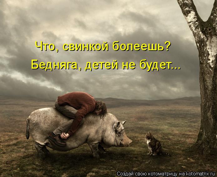 Котоматрица: Что, свинкой болеешь? Бедняга, детей не будет...
