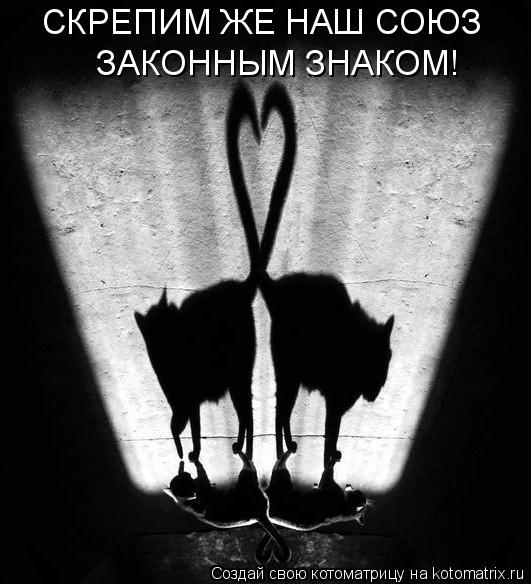 СКРЕПИМ ЖЕ НАШ СОЮЗ ЗАКОННЫМ ЗНАКОМ!... Котоматрица: СКРЕПИМ ЖЕ НАШ СОЮЗ ЗАКОННЫМ ЗНАКОМ!