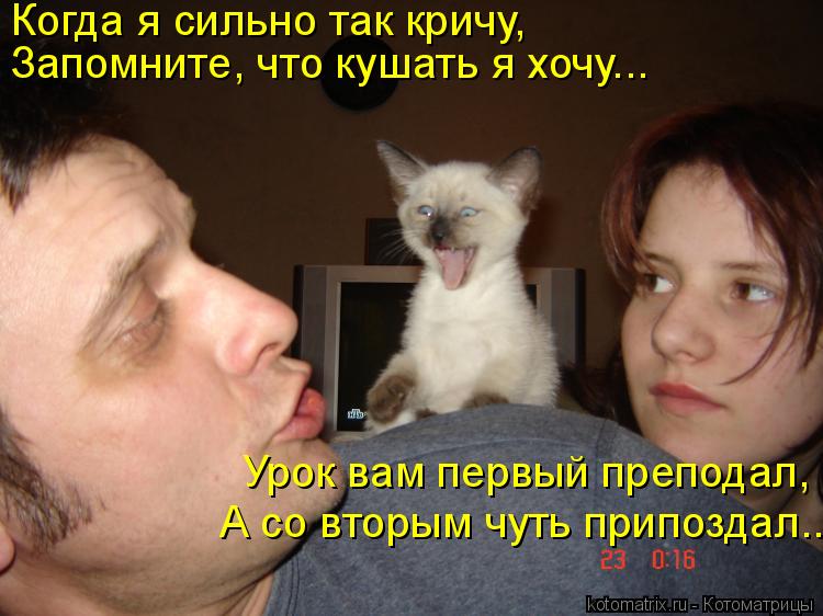 Когда я сильно так кричу, Запомните, что кушать я хочу….. А со вторым чуть припоздал….. Урок вам пер... Котоматрица: Когда я сильно так кричу, Запомните, что кушать я хочу….. А со вторым чуть припоздал….. Урок вам первый преподал,