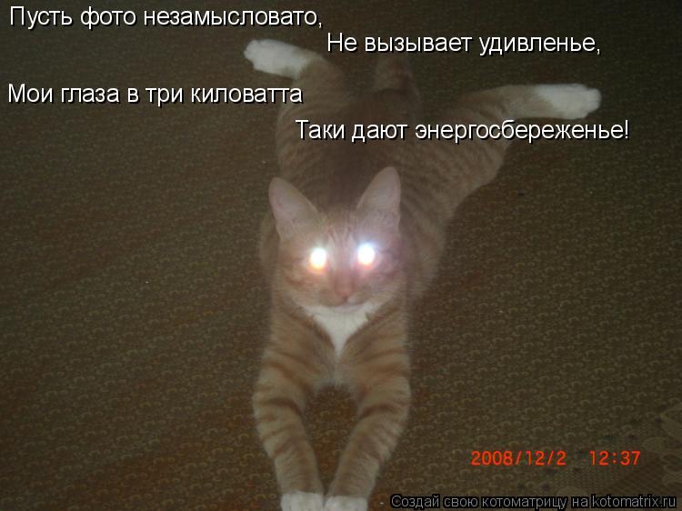Пусть фото незамысловато, Не вызывает удивленье, Мои глаза в три киловатта Таки дают энергосбереженье... Котоматрица: Пусть фото незамысловато, Не вызывает удивленье, Мои глаза в три киловатта Таки дают энергосбереженье!