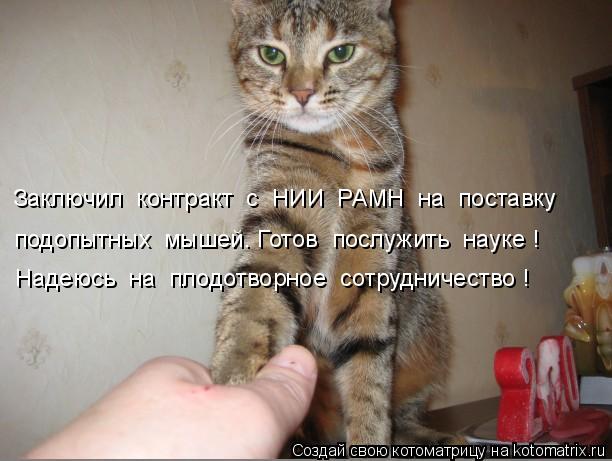 Заключил контракт с НИИ РАМН на поставку подопытных мышей. Готов послужить науке ! Надеюсь ... Котоматрица: Заключил контракт с НИИ РАМН на поставку подопытных мышей. Готов послужить науке ! Надеюсь на плодотворное сотрудничество !