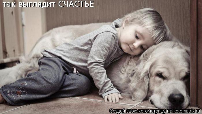 Котоматрица: так выглядит СЧАСТЬЕ