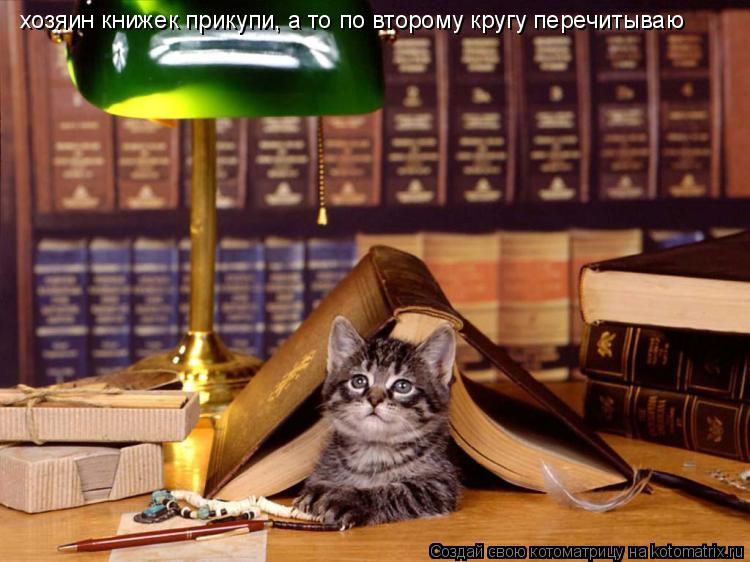 Котоматрица: хозяин книжек прикупи, а то по второму кругу перечитываю