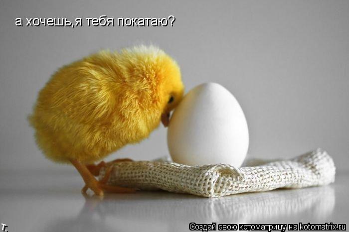 Котоматрица: а хочешь,я тебя покатаю?