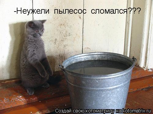 Котоматрица: -Неужели  пылесос  сломался???