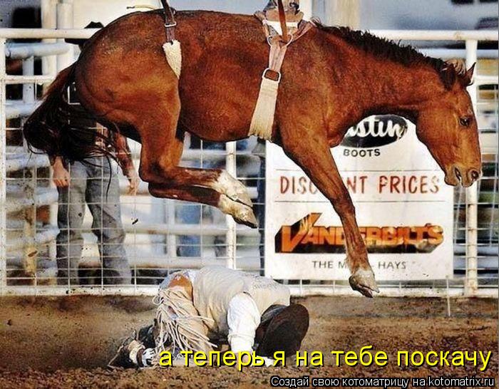 а теперь я на тебе поскачу... Котоматрица: а теперь я на тебе поскачу