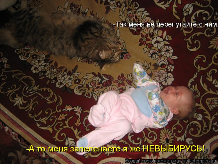 Котоматрица: -Так меня не перепутайте с ним! -А то меня запеленаете я же НЕВЫБИРУСЬ!