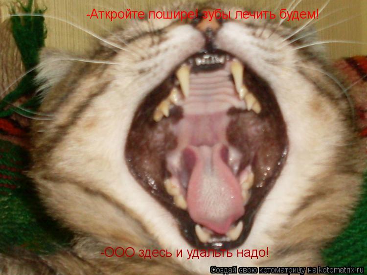 Котоматрица: -Аткройте пошире! зубы лечить будем! -ООО здесь и удальть надо!