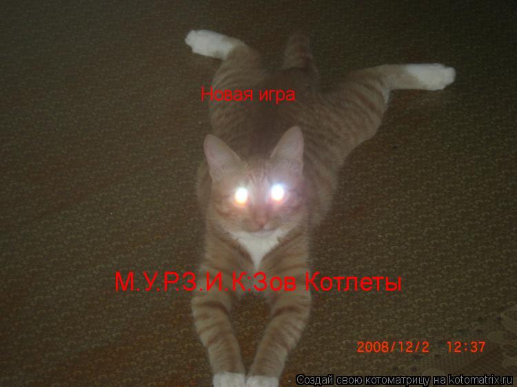 Котоматрица: Новая игра М.У.Р.З.И.К:Зов Котлеты