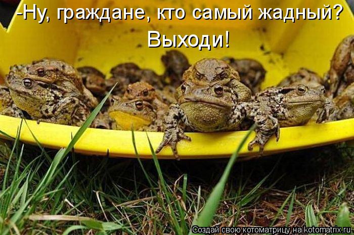 Котоматрица: -Ну, граждане, кто самый жадный?  Выходи!