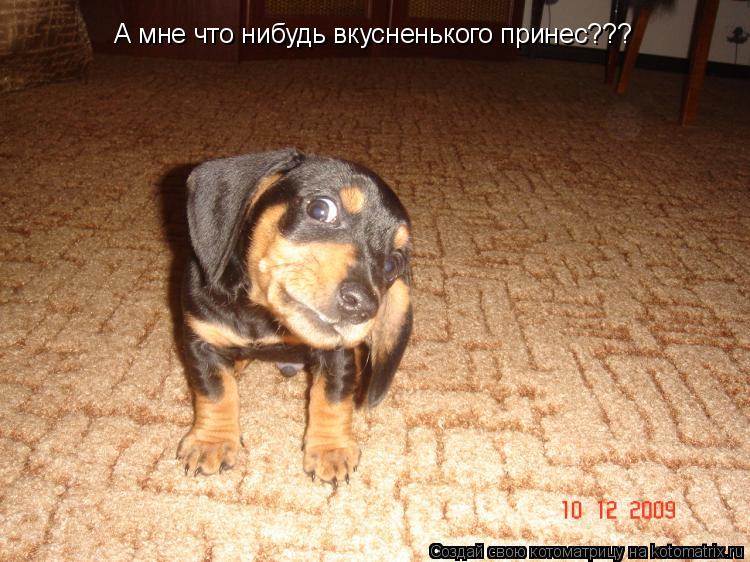 Котоматрица: А мне что нибудь вкусненького принес???