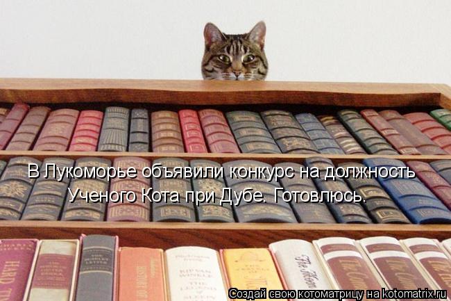 Котоматрица: В Лукоморье объявили конкурс на должность  Ученого Кота при Дубе. Готовлюсь.