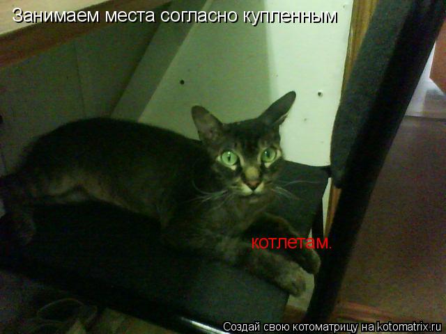 Котоматрица: Занимаем места согласно купленным котлетам.