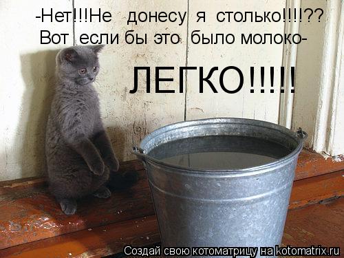 Котоматрица: -Нет!!!Не   донесу  я  столько!!!!?? Вот  если бы это  было молоко- ЛЕГКО!!!!!