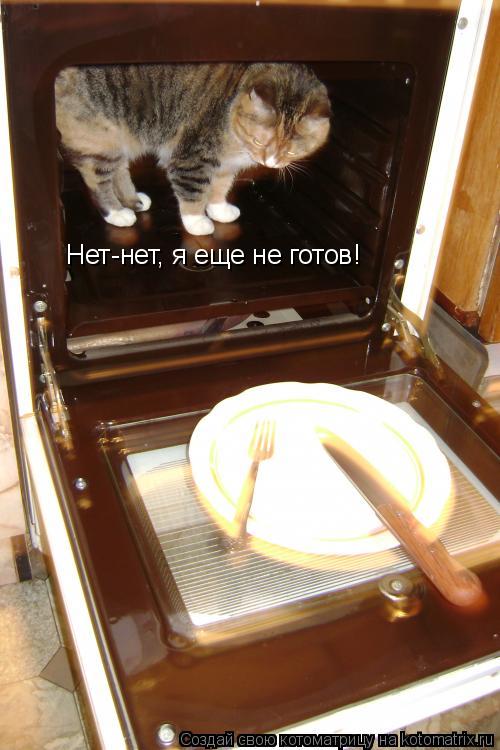 Котоматрица: Нет-нет, я еще не готов!