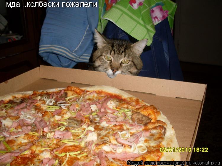Котоматрица: мда...колбаски пожалели