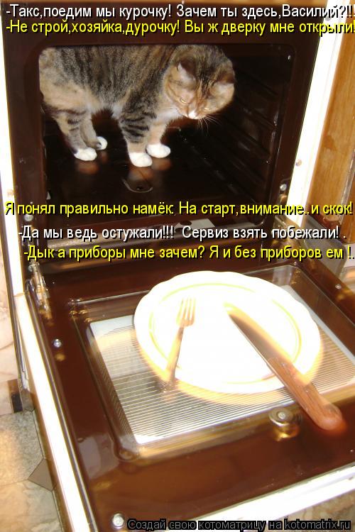 Котоматрица: -Такс,поедим мы курочку! Зачем ты здесь,Василий?!!! -Да мы ведь остужали!!!  Сервиз взять побежали! …    -Дык а приборы мне зачем? Я и без приборов 