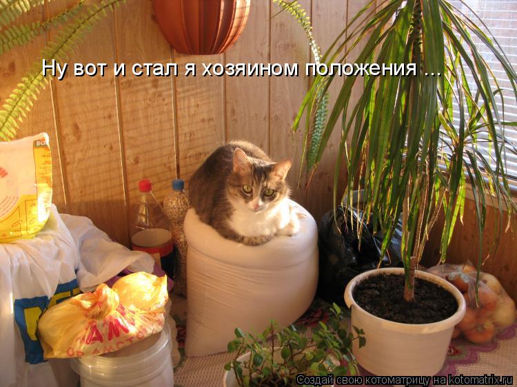 Котоматрица: Ну вот и стал я хозяином положения ...