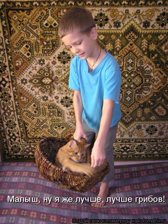 Котоматрица: Малыш, ну я же лучше, лучше грибов!