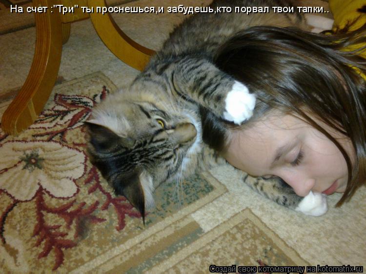 На счет :"Три" ты проснешься,и забудешь,кто порвал твои тапки..... Котоматрица: На счет :"Три" ты проснешься,и забудешь,кто порвал твои тапки..