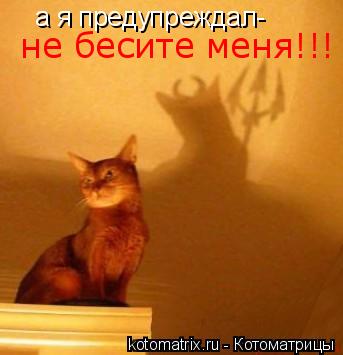 а я предупреждал- не бесите меня!!!... Котоматрица: а я предупреждал- не бесите меня!!!