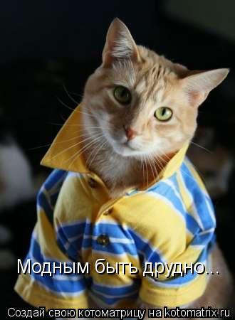 Модным быть друдно...... Котоматрица: Модным быть друдно...