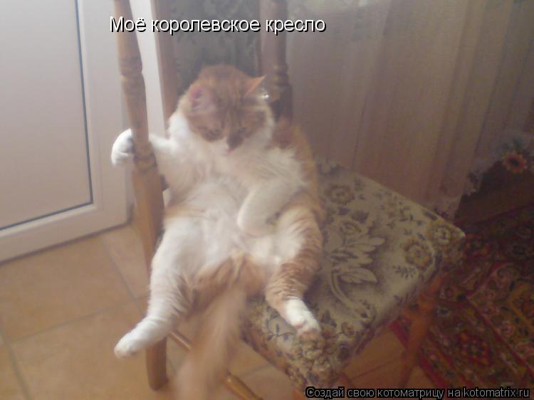 Моё королевское кресло... Котоматрица: Моё королевское кресло