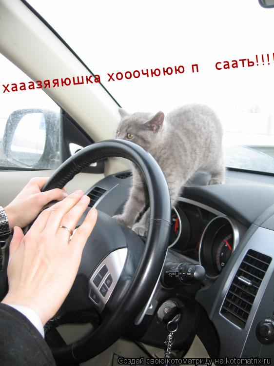 хааазяяюшка хооочююю пііісаать!!!!!... Котоматрица: хааазяяюшка хооочююю пііісаать!!!!!
