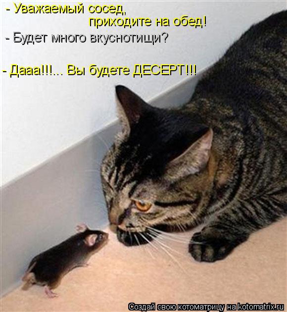 - Уважаемый сосед, приходите на обед! - Будет много вкуснотищи? - Дааа!!!... Вы будете ДЕСЕРТ!!!... Котоматрица: - Уважаемый сосед, приходите на обед! - Будет много вкуснотищи? - Дааа!!!... Вы будете ДЕСЕРТ!!!